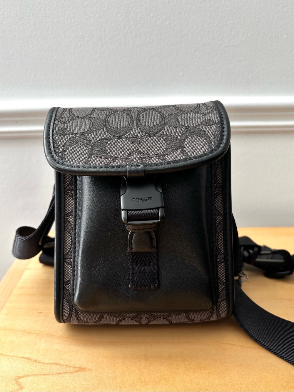 Coach Charter North/South Crossbody (size small)